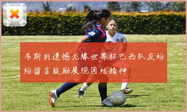 韦斯利遗憾无缘世界杯巴西队友纷纷留言鼓励展现团结精神